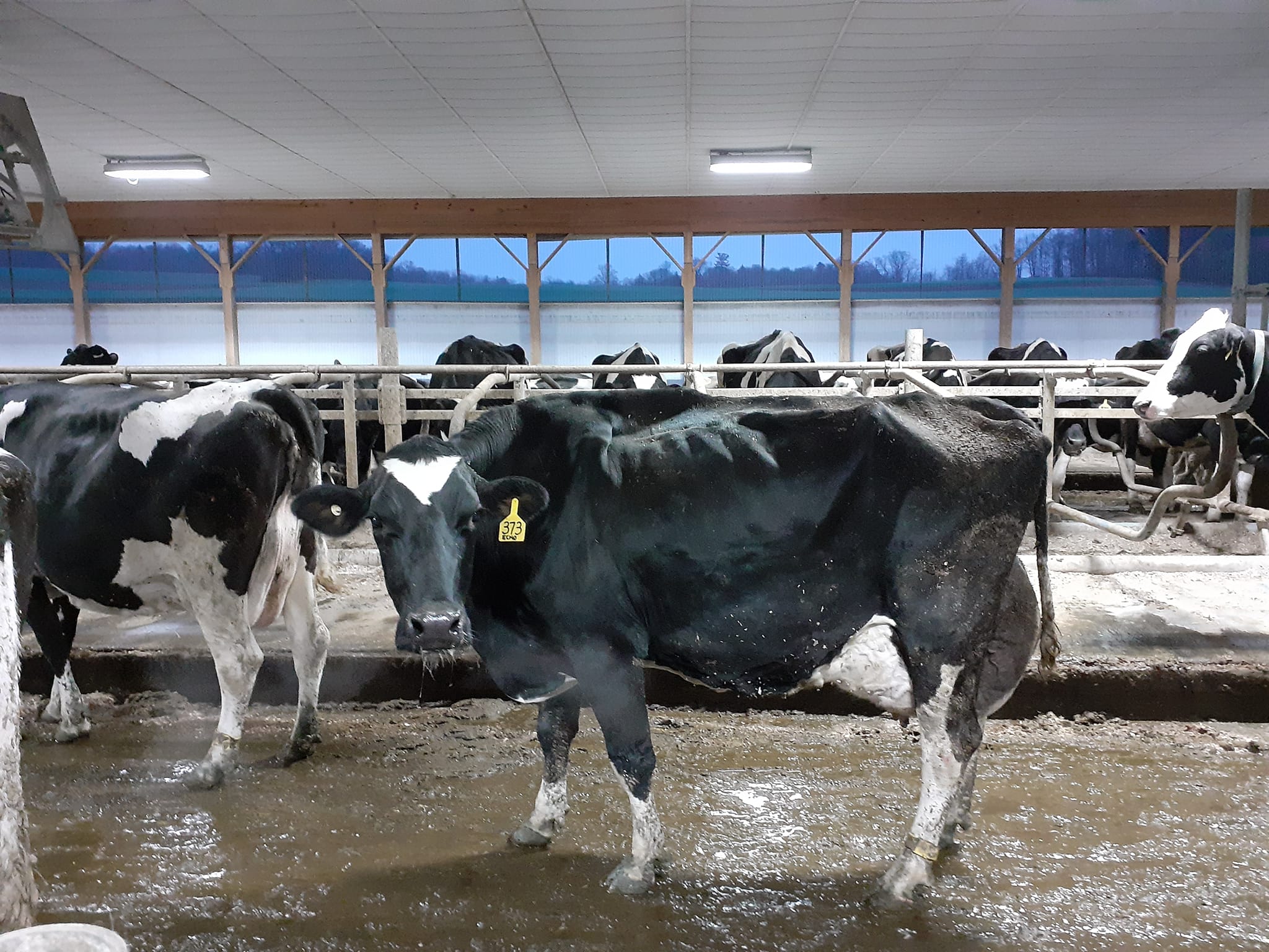 Dairy CAMF Success Stories: Tim Terry