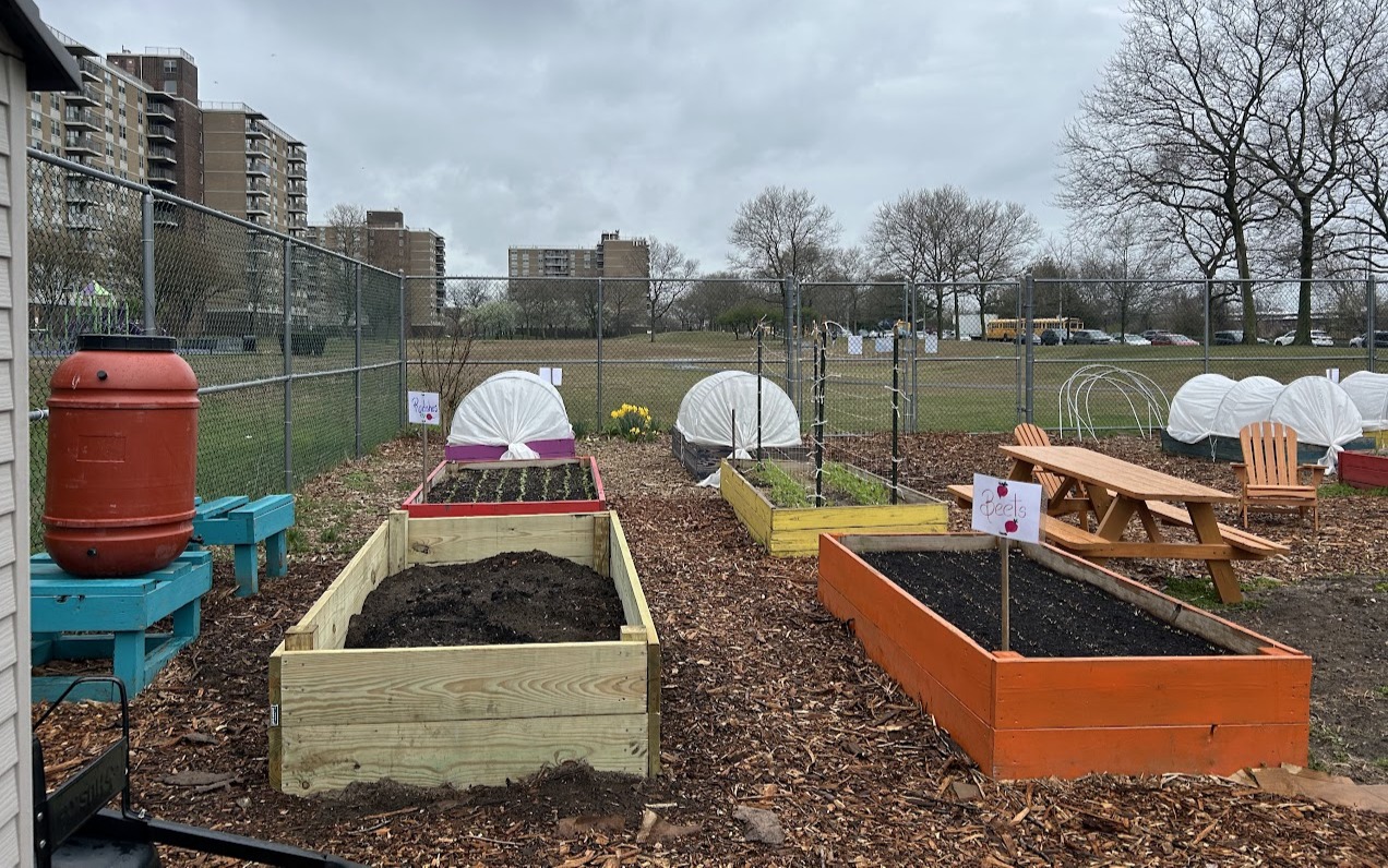 Resiliency Rising: NYC Urban Farmers Dig into Adaptation Strategies