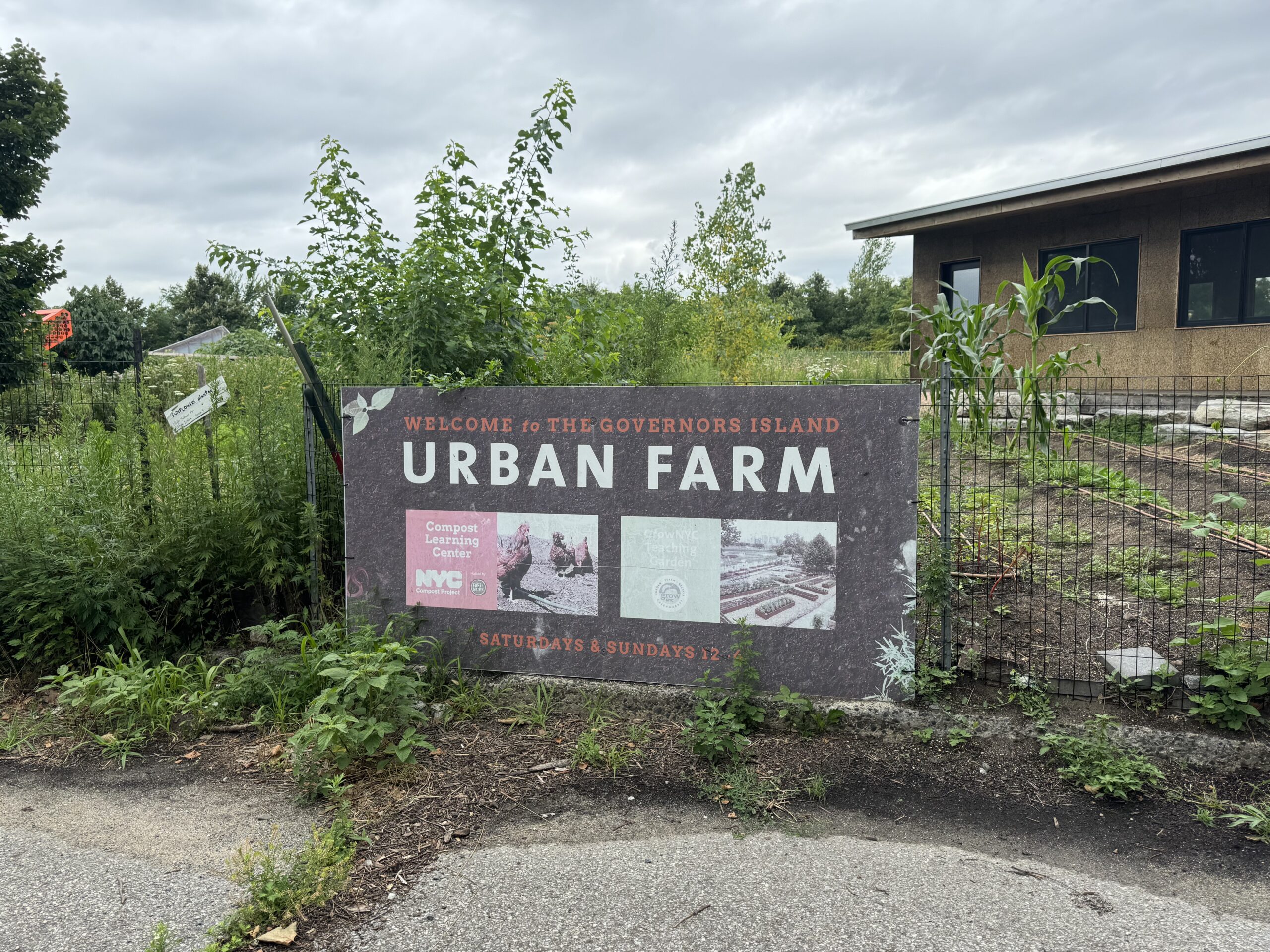 NYC Urban Climate Adaptation and Mitigation Program